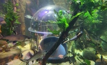 LEGOLAND ATLANTIS by SEA LIFE