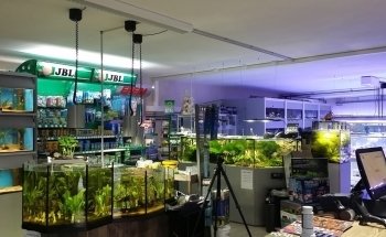 aquaPro2000 GmbH