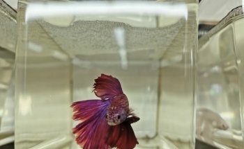 KN-Aquaristik Versandhandel GmbH