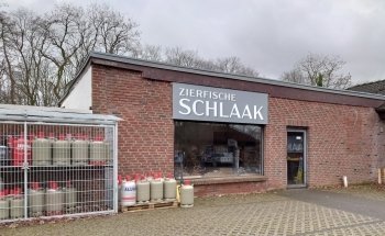 Zierfische Schlaak