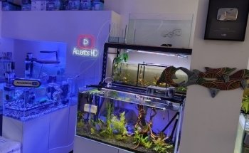 Tienda online de Acuarios Marinos y Agua Dulce .
