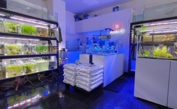 Tienda online de Acuarios Marinos y Agua Dulce .