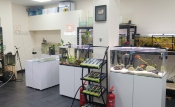 Tienda online de Acuarios Marinos y Agua Dulce .