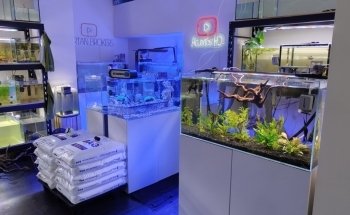 Tienda online de Acuarios Marinos y Agua Dulce .