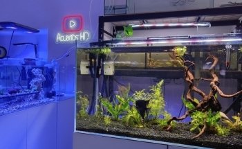 Online Store of Marine and Freshwater Aquariums