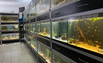 Brakeler Tierwelt GmbH & Co. KG - Brakel