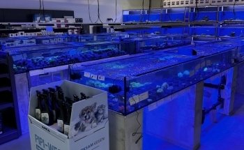 PlanktonPlus Aquaristik