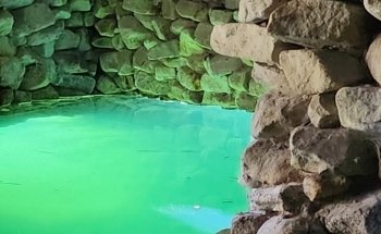 NaturaGart Aquarium