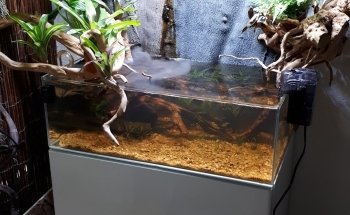 Aqua-Tropica