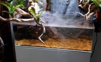 Aqua-Tropica