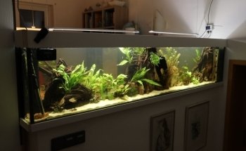 Aqua-Tropica