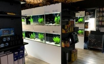 Fishtopia
