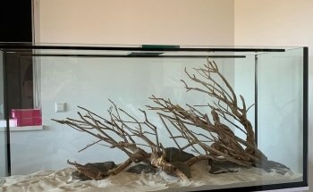 Fishtopia