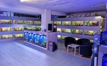 Fish and More The aquaristic and pond Specialists