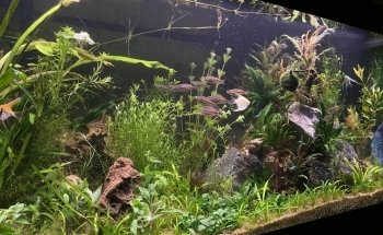 Aquasabi