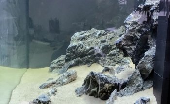 Aquasabi