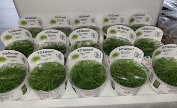 Aquasabi