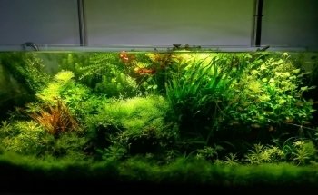 Aquasabi
