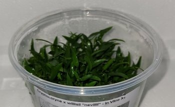 Aquasabi
