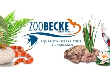 Zoo Market Becke
