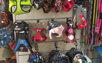 Ganasoha Mascotas