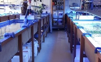 Fauna Marin GmbH * Extreme Corals