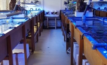 Fauna Marin GmbH * Extreme Corals