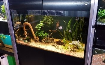 System Aquaristik