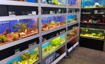 System Aquaristik