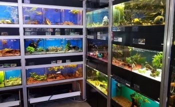 System Aquaristik