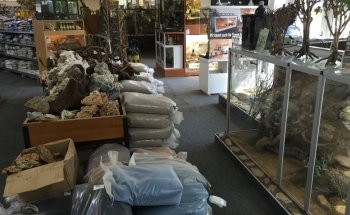 Aquaristik & Animal World