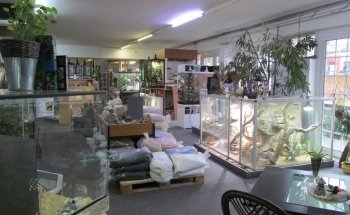 Aquaristik & Animal World