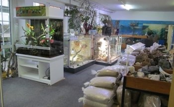 Aquaristik & Animal World