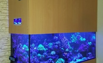 Coral Master germany