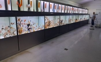 Europe Discus Center