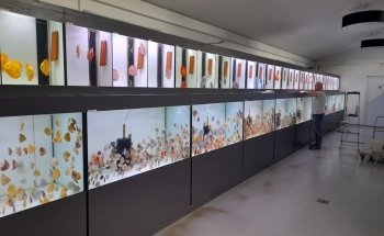 Europa Discus Center