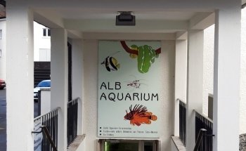 Albaquarium