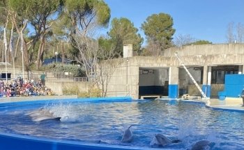 Zoo Aquarium de Madrid