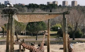 Zoo Aquarium de Madrid