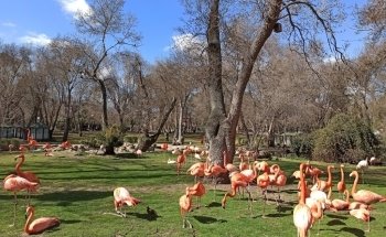 Zoo Aquarium de Madrid