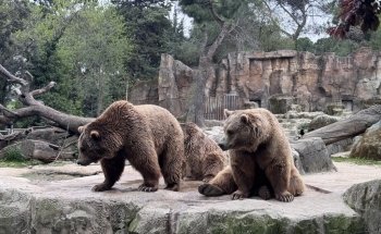 Madrid Zoo Aquarium