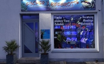 Fischer's Riff Cave - Marine Aquaristics Specialty Store | Online Shop