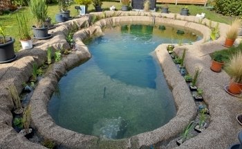 Wasserpflanzen Wolff