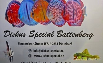 Discus Special Battenberg