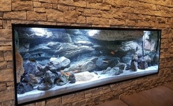 Aquarienkontor (Süß- und Meerwasseraquarien, LED-Beleuchtungen, Filter uvm).