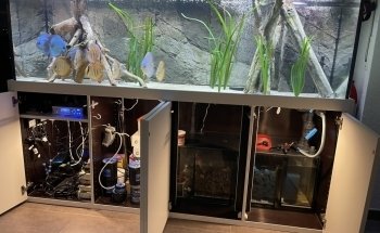 Aquarienkontor (Süß- und Meerwasseraquarien, LED-Beleuchtungen, Filter uvm).
