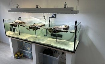 Meduza6 GbR. Ligendza&Adamczyk
