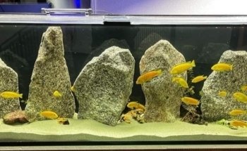 Meduza6 GbR. Ligendza&Adamczyk