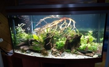 Meduza6 GbR. Ligendza&Adamczyk