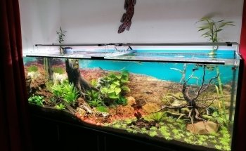 Meduza6 GbR. Ligendza&Adamczyk